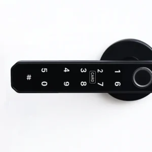 Tuya Akıllı Ev Uygulaması Uyumlu Parmak İzli ve Şifreli Kapı Kolu